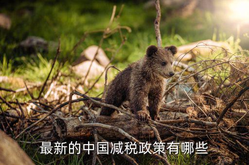 各國減稅結(jié)果會(huì)是什么，最新的中國減稅政策有哪些