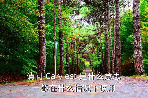 ca棒有什么作用是什么意思，CA的全稱是什么它的具體作用是什么