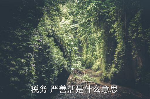 中國稅務精神是什么意思，稅務是什么意思啊學什么內(nèi)容