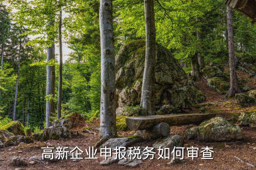 高企稅務(wù)審查查什么用，稅務(wù)檢查簽證有什么作用