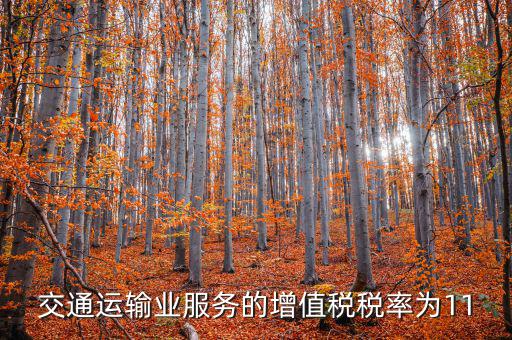 11稅率的服務(wù)包括什么，營(yíng)改增后11個(gè)點(diǎn)稅包括哪些內(nèi)容