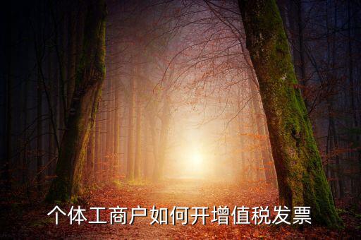 個(gè)體工商戶(hù)如何開(kāi)增值稅發(fā)票
