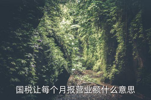 國稅每月報稅的是什么意思，請問每月抄稅和報稅各是什么意思