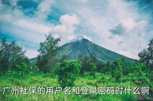 地稅社保用戶名是什么，南京這邊可以國稅扣稅款一個賬號基本戶地稅扣款比如社保