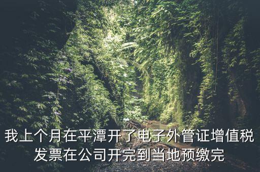 我上個月在平潭開了電子外管證增值稅發(fā)票在公司開完到當(dāng)?shù)仡A(yù)繳完