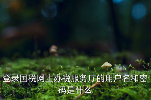 電子稅務(wù)密碼是什么，登錄國稅網(wǎng)上辦稅服務(wù)廳的用戶名和密碼是什么