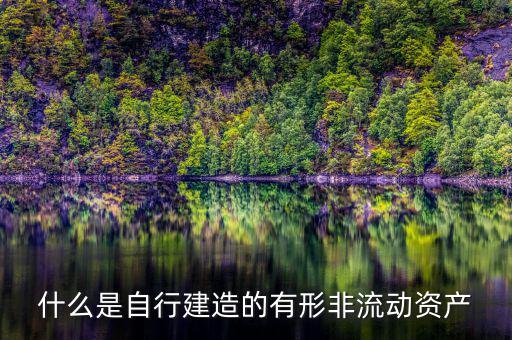 什么叫自建不動產(chǎn)，自建不動產(chǎn)不共擔風險的投資行為