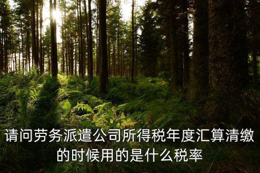 派遣選擇什么稅目，勞務(wù)派遣公司應(yīng)交什么稅種