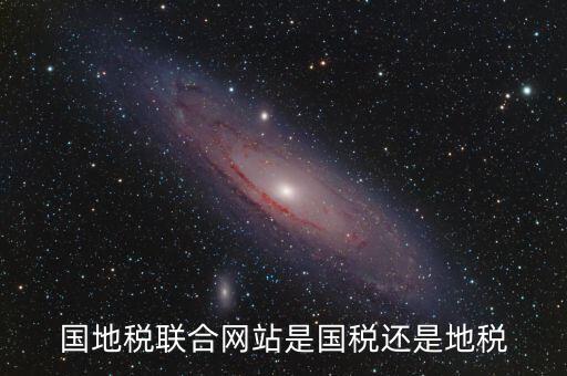 國(guó)地稅聯(lián)合辦稅是什么，國(guó)地稅聯(lián)合稅費(fèi)申報(bào)什么意思