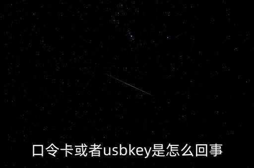未插usbkey什么意思，口令卡或者usbkey是怎么回事