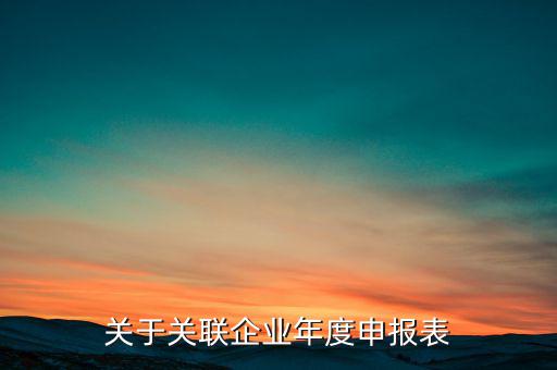 什么是關(guān)聯(lián)申報(bào)表，小規(guī)模納稅人2013年年報(bào)年度關(guān)聯(lián)企業(yè)申報(bào)表怎么填