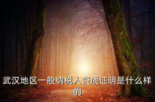 納稅資質(zhì)證明是什么意思，什么是稅務證明