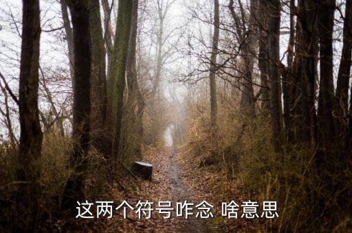 項(xiàng)稅讀音是什么意思，怎么讀是什么意思