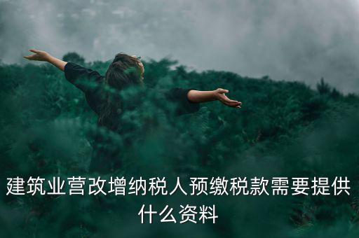 預(yù)繳稅款要什么資料，到國(guó)稅局預(yù)交稅款需要帶什么東西