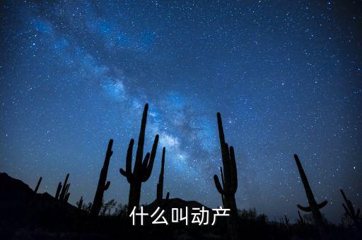 什么是動產(chǎn)登記表，什么叫動產(chǎn)