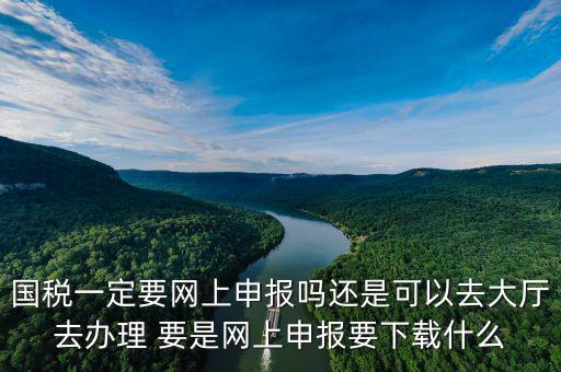 地稅進(jìn)國稅要下載什么，深圳國地稅想網(wǎng)上申報(bào)要下載什么東西嗎
