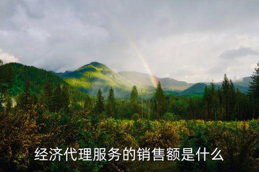什么是經濟代理，請問什么叫經濟合同代理人