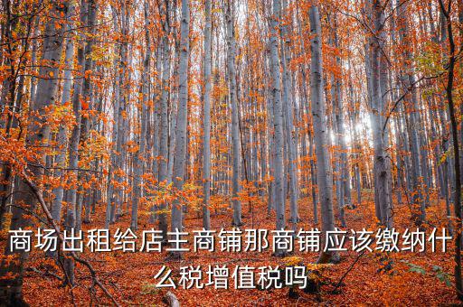 租用商鋪需要交什么稅，我租個(gè)門市都需交什么稅
