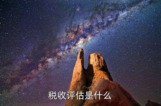 什么叫地稅納稅評(píng)估，納稅評(píng)估都是評(píng)估什么