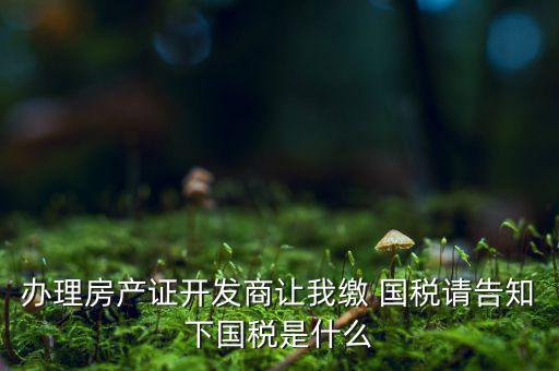 辦理房產(chǎn)證開(kāi)發(fā)商讓我繳 國(guó)稅請(qǐng)告知下國(guó)稅是什么