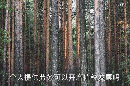 什么是個人勞務(wù)發(fā)票嗎，個人開工程勞務(wù)費(fèi)發(fā)票是在工程所在地開具嗎