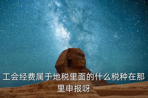 工會活動費中稅是什么，工會經費屬于地稅里面的什么稅種在那里申報呀