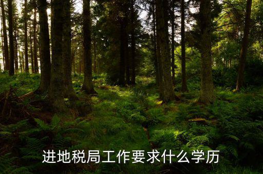地稅上班要會(huì)什么最低學(xué)歷，要去地稅局上班都要學(xué)些什么啊