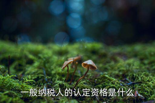什么是一般納稅人資質(zhì)，一般納稅人的認(rèn)定資格是什么