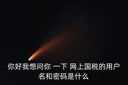 國(guó)稅的登錄密碼是什么意思，國(guó)稅第一次網(wǎng)上申報(bào)的登陸密碼是什么