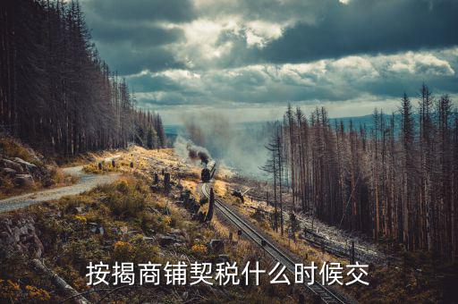 商鋪?zhàn)赓U稅什么時(shí)候交，租賃店鋪一般首次需要繳納幾個(gè)月的租金