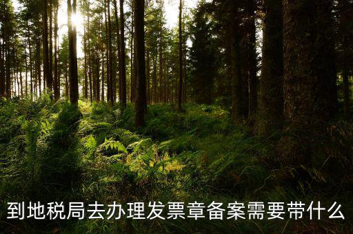 去地稅局備案需要什么，地稅備案需要什么資料