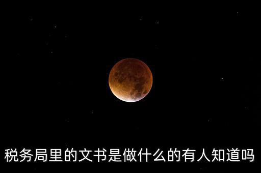 稅務文書是什么，急需稅務文書格式