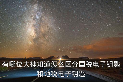 國稅電子鑰匙是什么，稅務(wù)密鑰是什么東西是數(shù)字證書嗎