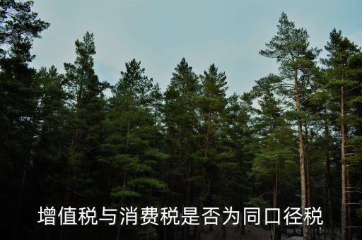 稅收可比口徑什么意思，稅收比重什么意思