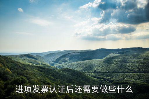 核定發(fā)票后發(fā)行后還坐什么，認證完發(fā)票在干什么