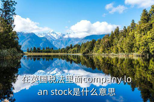 英國出國稅 是什么意思，在英國稅法里面company loan stock是什么意思