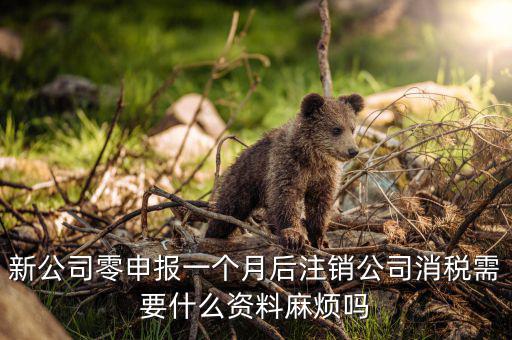 注銷稅盤需要什么資料，新公司零申報一個月后注銷公司消稅需要什么資料麻煩嗎