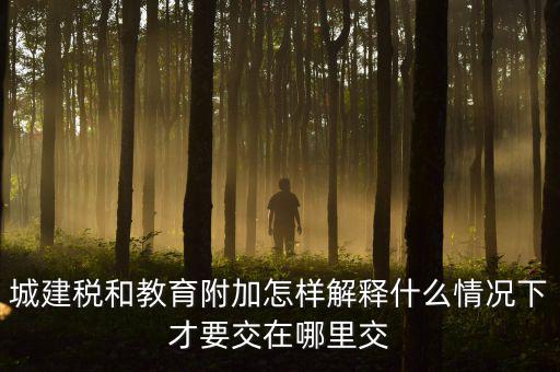 什么時候有教育費附加，子女教育專項附加扣除的起始時間