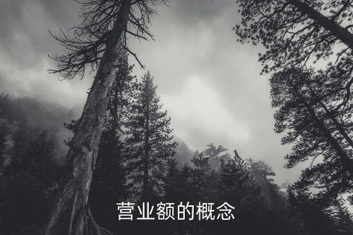 營業(yè)額指的是什么，招標文件中的營業(yè)額指的是利潤表中的主營業(yè)務收入嗎