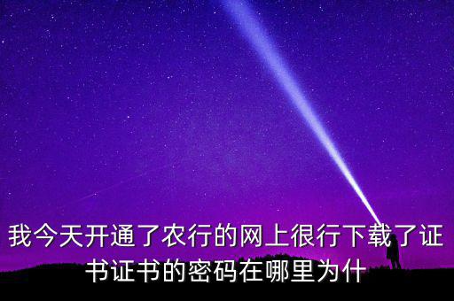 查看證書密碼是什么原因，我今天開通了農(nóng)行的網(wǎng)上很行下載了證書證書的密碼在哪里為什