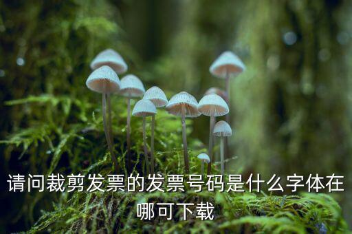 請(qǐng)問裁剪發(fā)票的發(fā)票號(hào)碼是什么字體在哪可下載