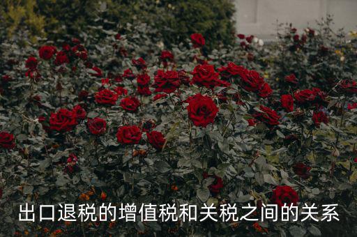 出口關(guān)稅和什么有關(guān)系，出口退稅與進口增值稅有什么關(guān)系