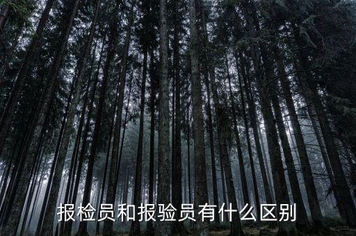 報(bào)驗(yàn)企業(yè)是什么意思，外埠納稅人經(jīng)營(yíng)地報(bào)驗(yàn)登記是什么意思