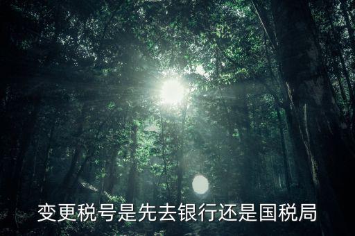 變更稅號屬于什么業(yè)務，公司變更稅號都要什么東西