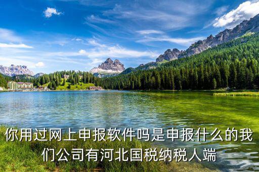 國(guó)稅人像采集是什么意思，你用過網(wǎng)上申報(bào)軟件嗎是申報(bào)什么的我們公司有河北國(guó)稅納稅人端