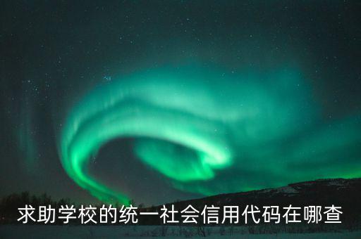 學(xué)校的社會信用代碼是什么東西，求助學(xué)校的統(tǒng)一社會信用代碼在哪查