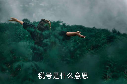 納稅號碼是什么意思，稅號是什么意思