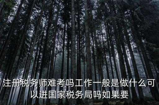 什么是稅務(wù)師，注冊(cè)稅務(wù)師能干什么待遇怎么樣
