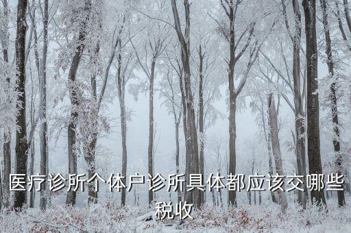 醫(yī)健護(hù)航都交什么稅，醫(yī)療診所個(gè)體戶診所具體都應(yīng)該交哪些稅收