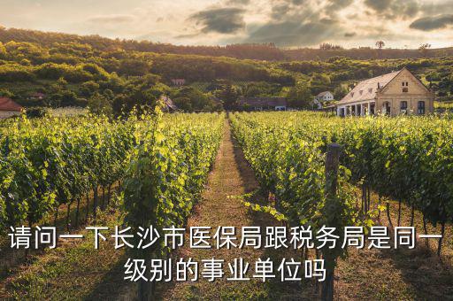 國(guó)稅局是什么醫(yī)保，請(qǐng)問一下長(zhǎng)沙市醫(yī)保局跟稅務(wù)局是同一級(jí)別的事業(yè)單位嗎